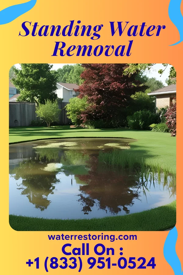 Standing Water Removal in Seymour, IA